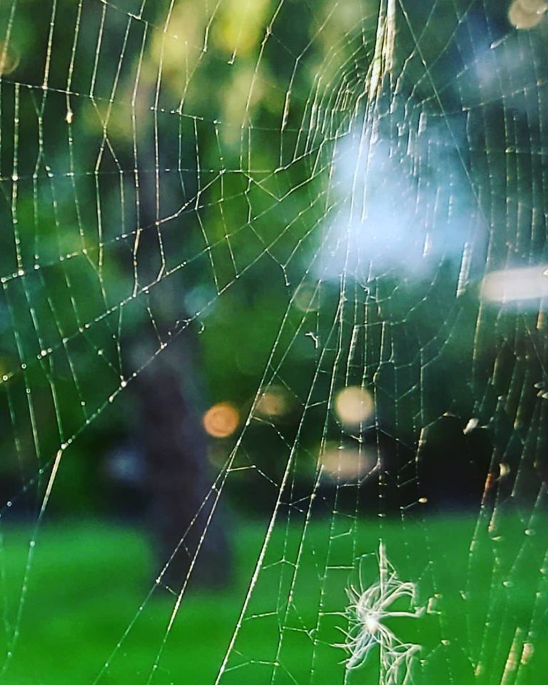 TherapyMcCready's tweet photo. 'Everything passes, whether good or bad, and the only time that we can really experience is this present, evanescent moment' - Kathryn Mannix
#everythingpasses #mccreadycounselling https://t.co/Zoot6X0F3L