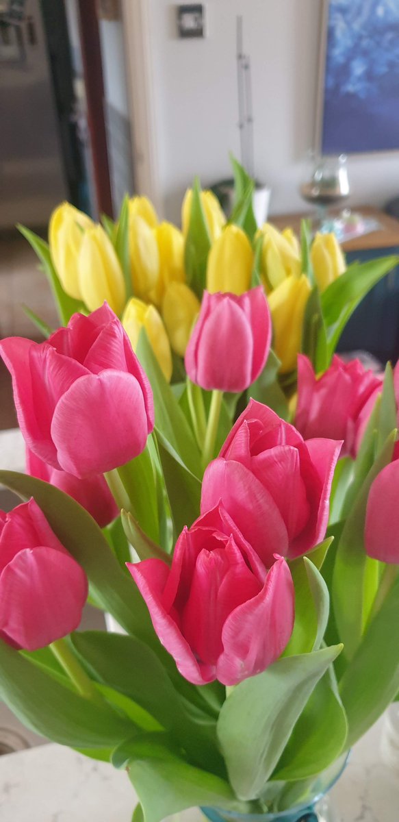 Mark Eves tweet media