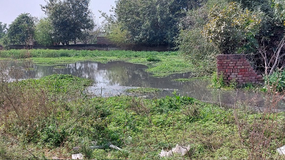 IshwarDayalAga1's tweet photo. @moefcc @hsiidc @mdhsiidc @MCManesar
Sewer is flowing openly adjacent to express greens apartnents in sector M1A in manesar for last many years . A big health and hygienic concerns for all residents and sheer violation of environment norms. No action taken yet . https://t.co/GGw7ZnRa2t