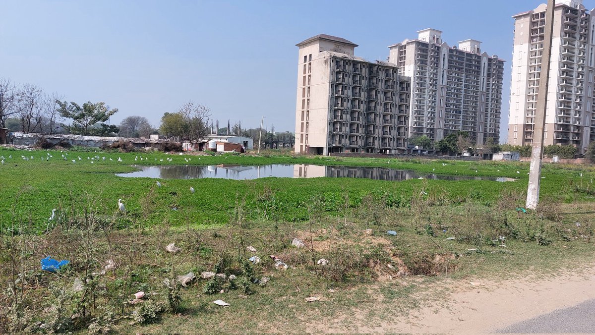 IshwarDayalAga1's tweet photo. @moefcc @hsiidc @mdhsiidc @MCManesar
Sewer is flowing openly adjacent to express greens apartnents in sector M1A in manesar for last many years . A big health and hygienic concerns for all residents and sheer violation of environment norms. No action taken yet . https://t.co/GGw7ZnRa2t