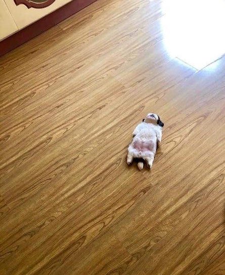 ‘พรุ่งนี้วันจันทร์’