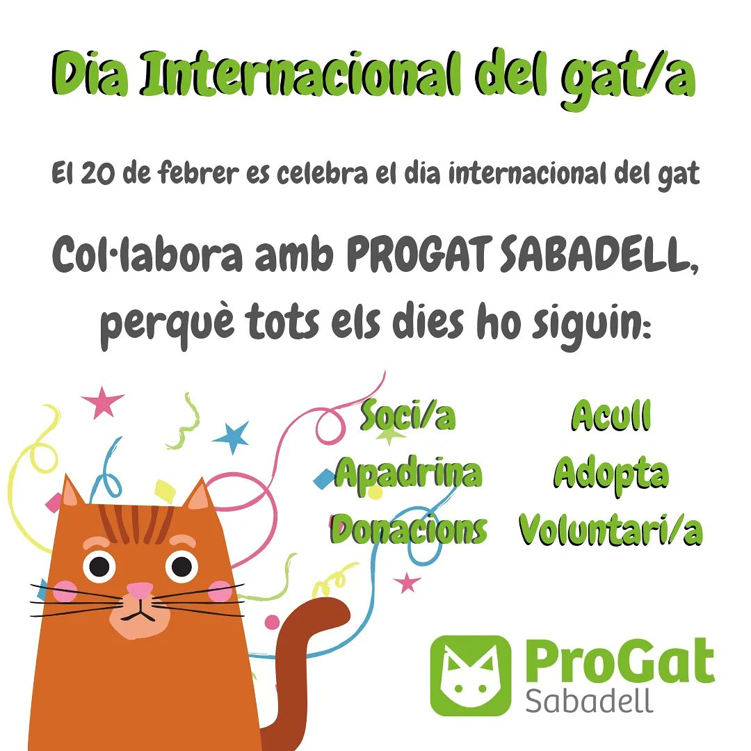Els gats tenen varis dies a l'any, assenyalats per celebrar el seu dia, avui 20 de febrer seria el primer.😻
Però per Progat Sabadell i tota la resta d'Associacions, Protectores, i particulars que ens dediquem a la defensa i benestar del gats, tots els dies són el dia del gat.💚