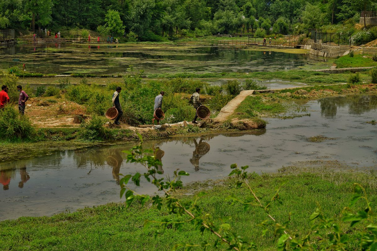 Mudasir_Rawloo's tweet photo. #Kashmiri men walking past by the river during the fishing festival at panzath #Qazigund.
 #Archives #photography #Photos #kashmir #beauty #fetivals #PhotoOfTheDay #PhotoMode #photographylovers #photographynft #Photogrammetry #photojournalism 
Photograph by @Mudasir_Rawloo https://t.co/6X1jARZOkg