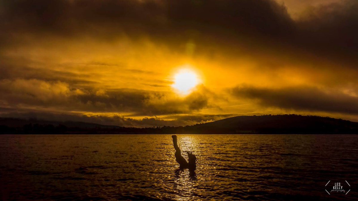 Les Kelly Photography tweet media