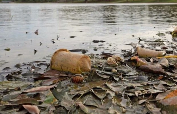 GustavoENouelB's tweet photo. Repito No Discutiré si El Cambio Climático Existe o No. Lo que sí está Clarisimo es la Erosión y Contaminación de #Suelos, #Desertificación y Destrucción de Acuíferos, #Contaminación del Aire, Destrucción de #Biodiversidad y Con ello Imposibilidad de Producir Alimentos Para Todos https://t.co/Y8guOJIMX4