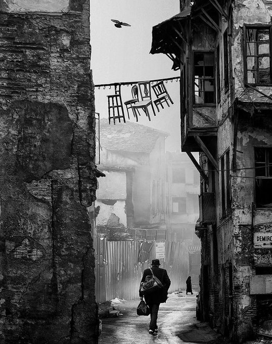 literland tweet media