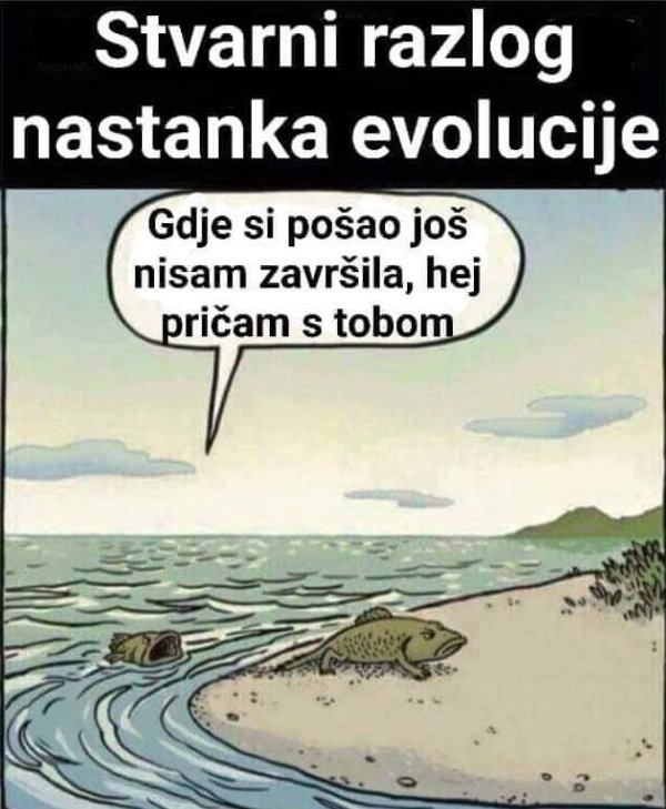 FMCHqe7XwAE8BC7