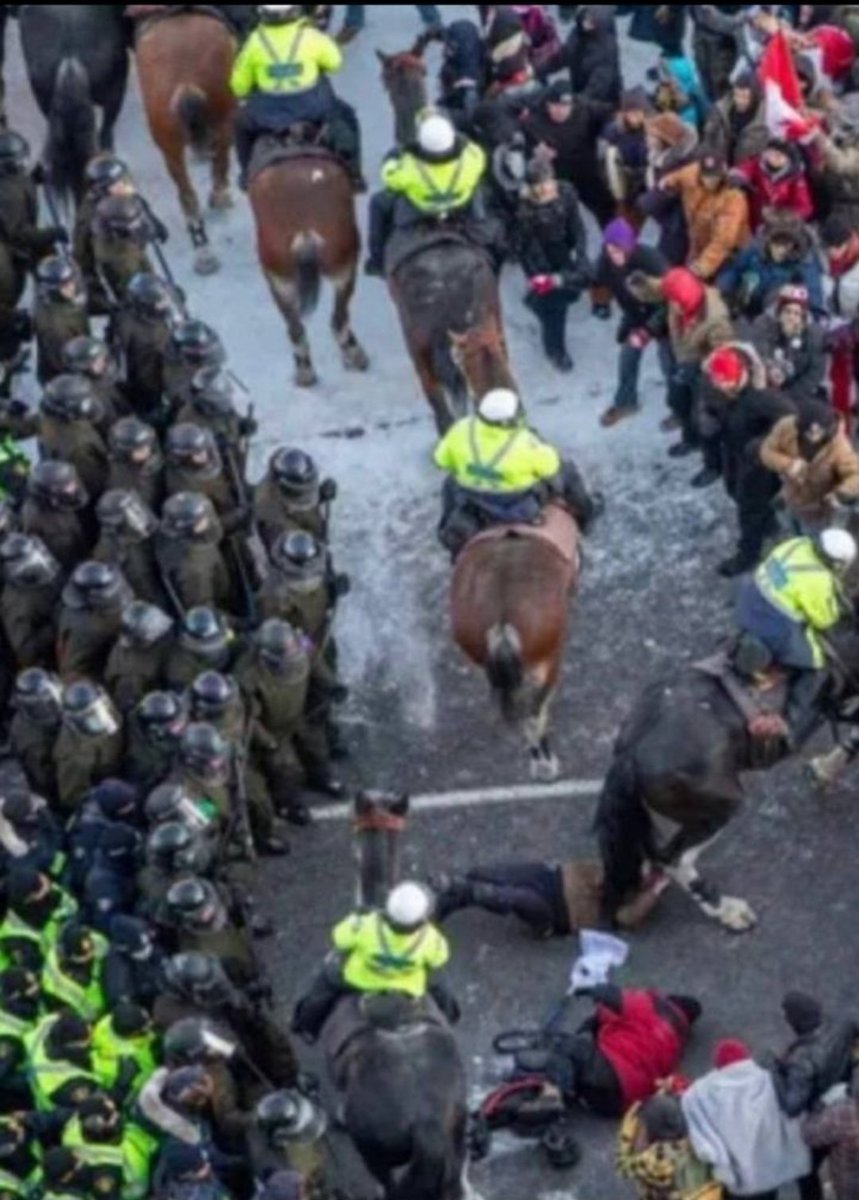 Den Politikern und Polizisten in Ottawa geht es um die Gesundheit der BÜRGER. Da wird ein oder anderer Grüner und Linker geil bei diesen Aufnahmen.