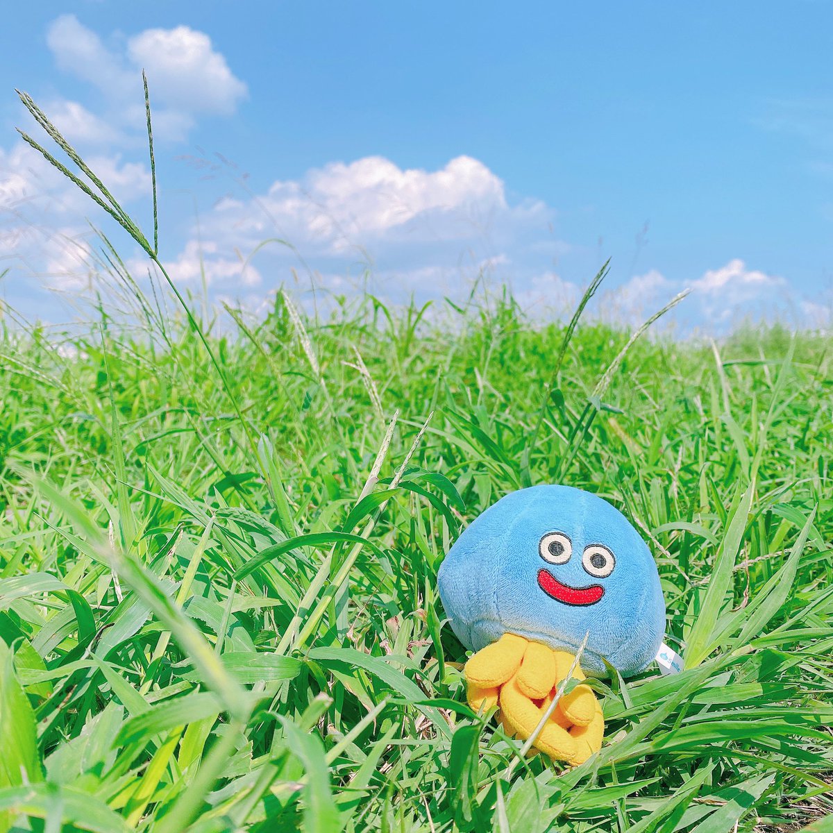 bianka_dq's tweet photo. まったりホイミンです♪

#ドラクエウォーク #ドラクエ #ドラゴンクエスト https://t.co/0EnjU8JKwZ