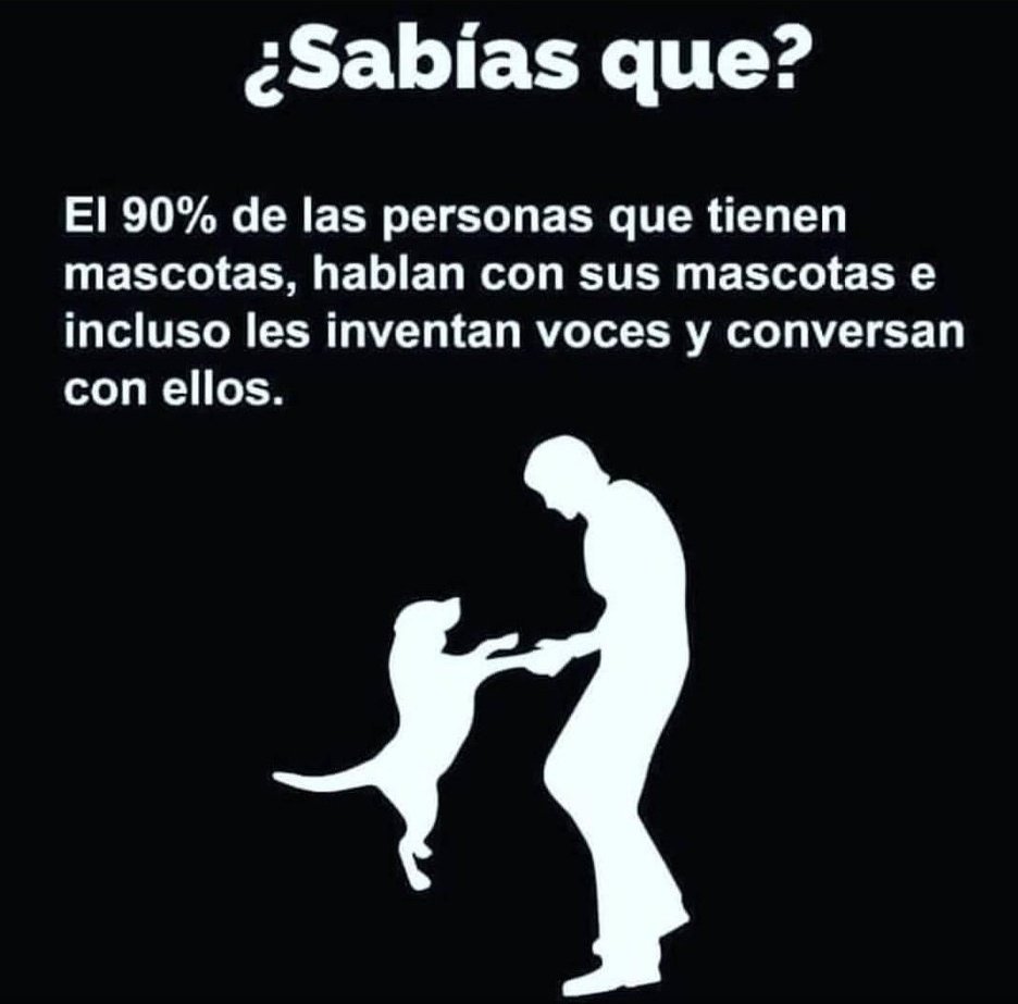 Confirmo.