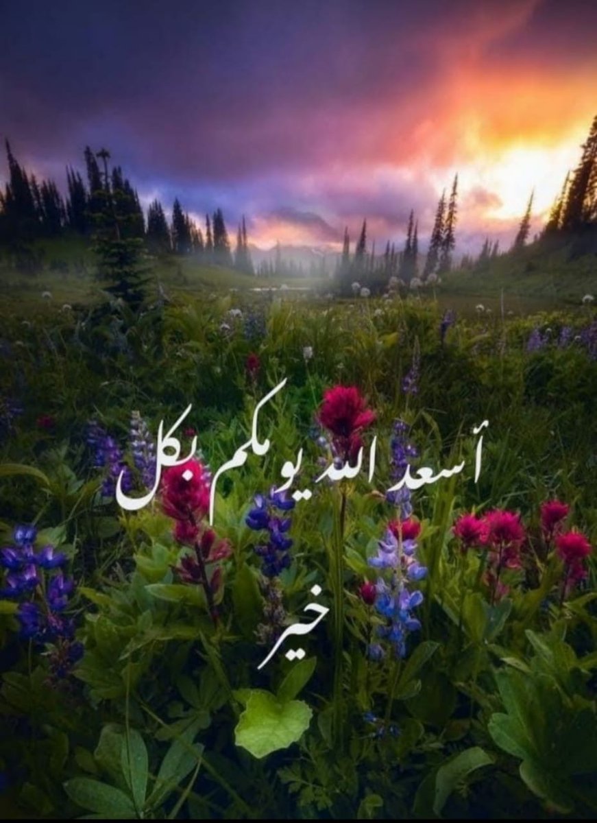 نـِِـِـآصُـ,ـر   المغربي (@blatarinassar) on Twitter photo 