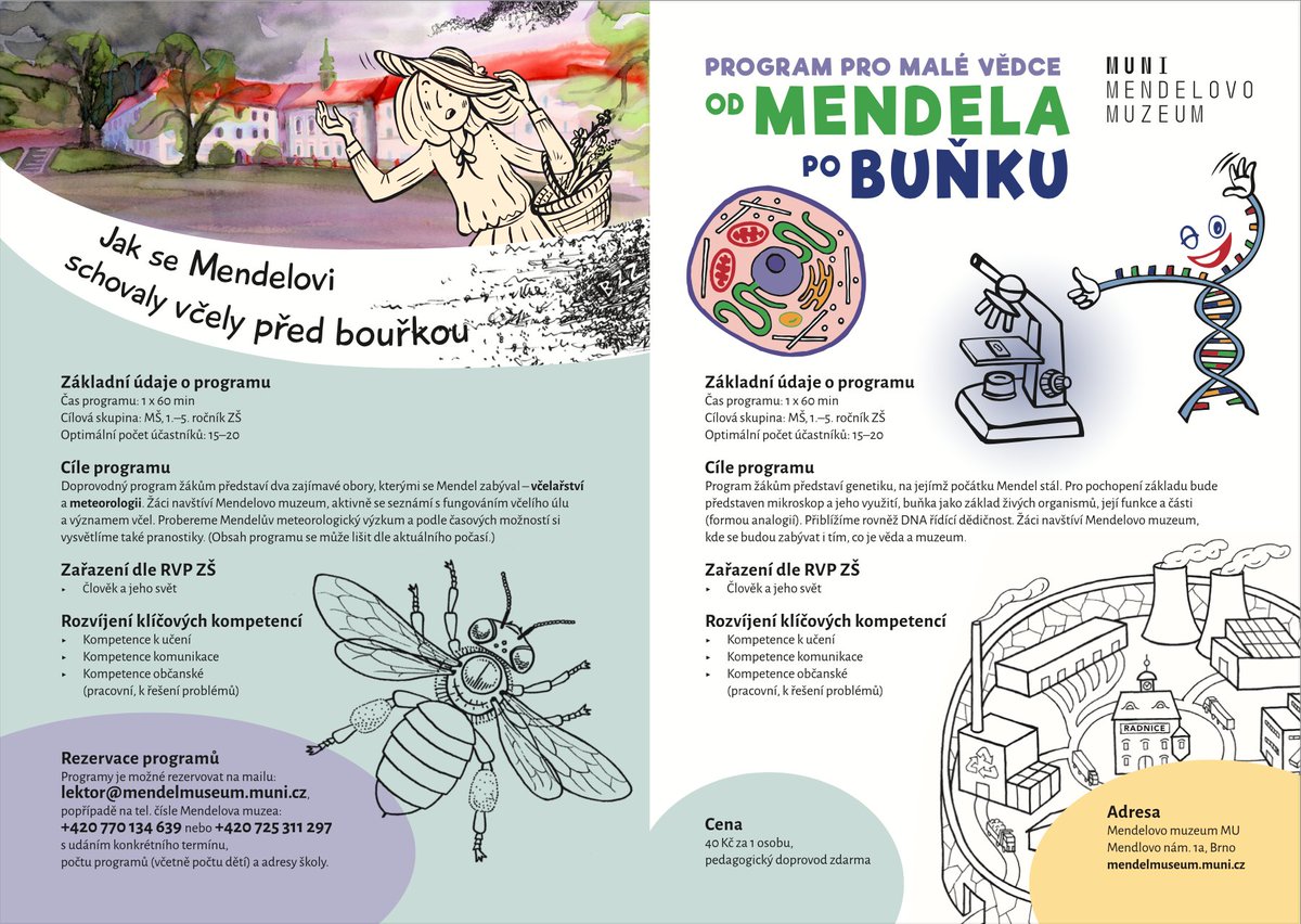 Mendelovo muzeum nabízí zajímavé programy pro školy. Pokud máte v okolí někoho, kdo by se rád podíval se svojí třídou k nám do muzea a dozvěděl se zajímavé informace o životě včel či fungování buňky, neváhejte doporučit. Děkujeme!

Všechny potřebné informace jsou na letáku: