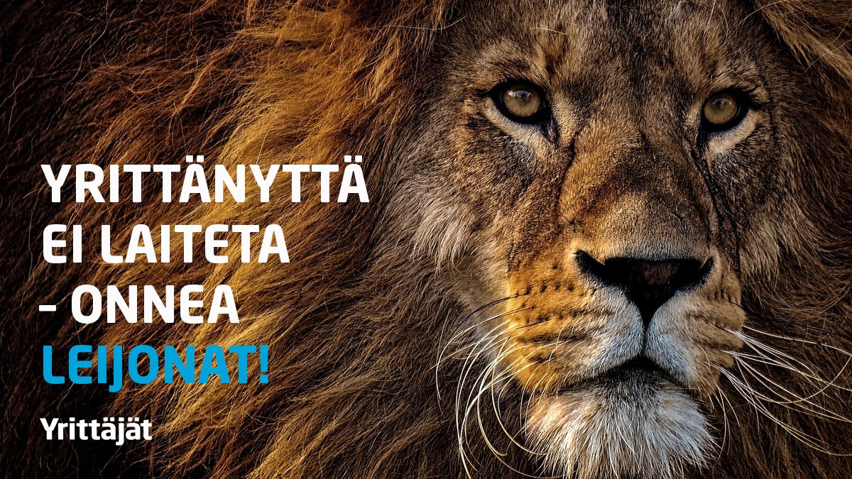 suomenyrittajat's tweet photo. Jes! Yrittäjiltä lämpimät onnittelut molemmille Leijona-jengeille 🥇+🥉.
Onnea myös Iivo, Kerttu, Krista ja Joni - pienen talvimaan supersankarit. Kiitos 🇫🇮 ❤️ #yrittäjät #suomi #torille #leijonat #Beijing2022 https://t.co/z6HYF4D1Ol