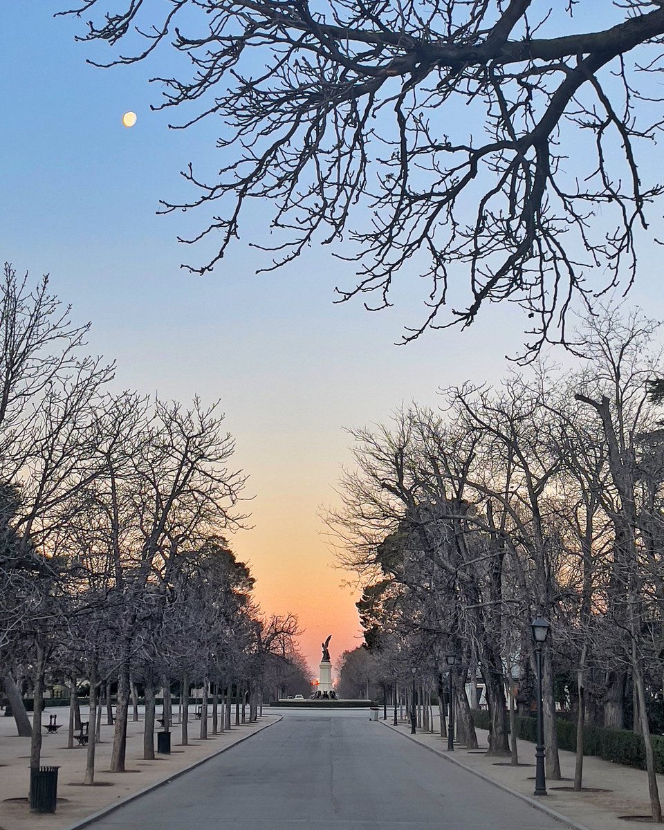 Adellanotte's tweet photo. El precioso y frío amanecer de hoy. 
#PatrimonioMundial #Paisajedelaluz
#RetiroExperience #Madrid #Fotografia https://t.co/csRRNJkmD5