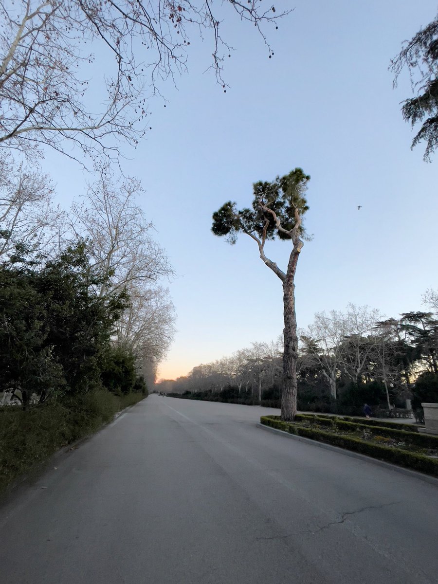 Adellanotte's tweet photo. El precioso y frío amanecer de hoy. 
#PatrimonioMundial #Paisajedelaluz
#RetiroExperience #Madrid #Fotografia https://t.co/csRRNJkmD5