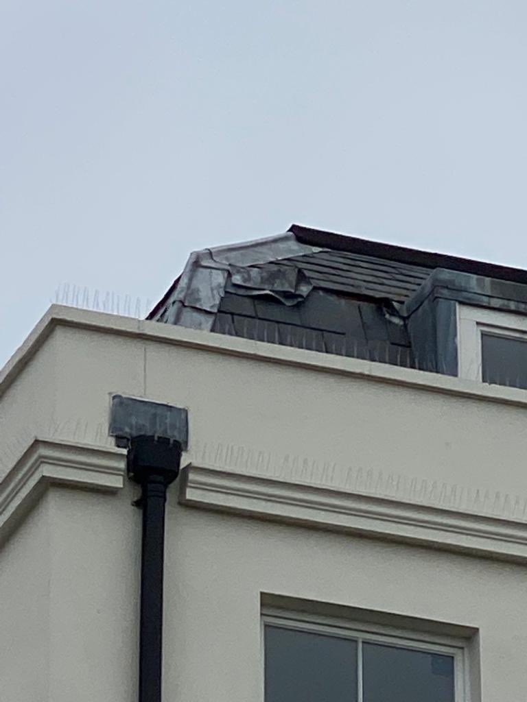 MutantAlgorithm tweet media