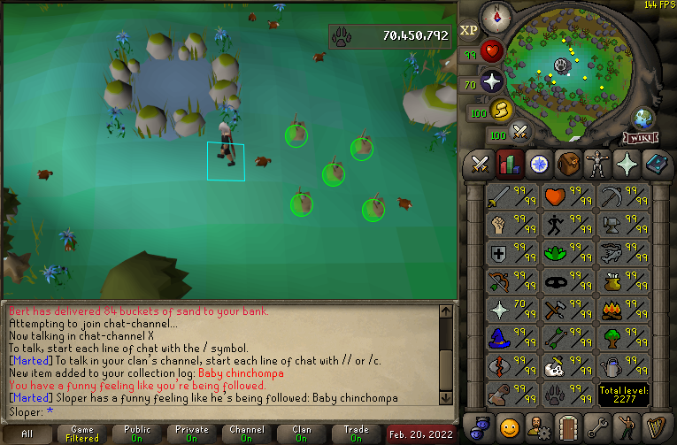 repols's tweet image. Pet #27 - Chin