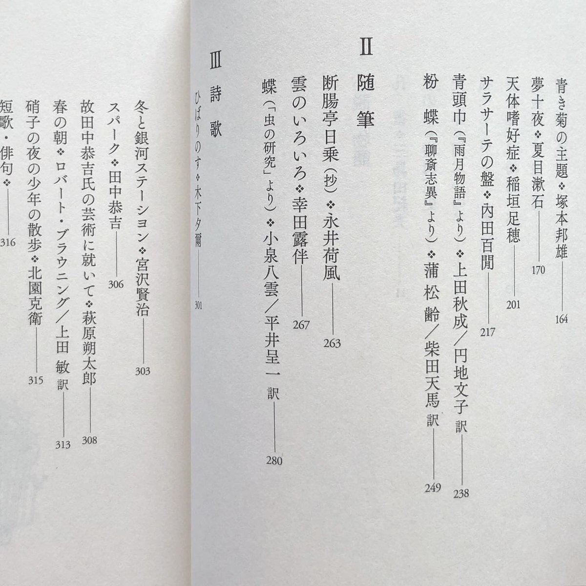 もう目次を眺めているだけでときめきませんか…!?
装画には登場モチーフをたくさん散りばめたので、ぜひ読後探してみて下さい。 