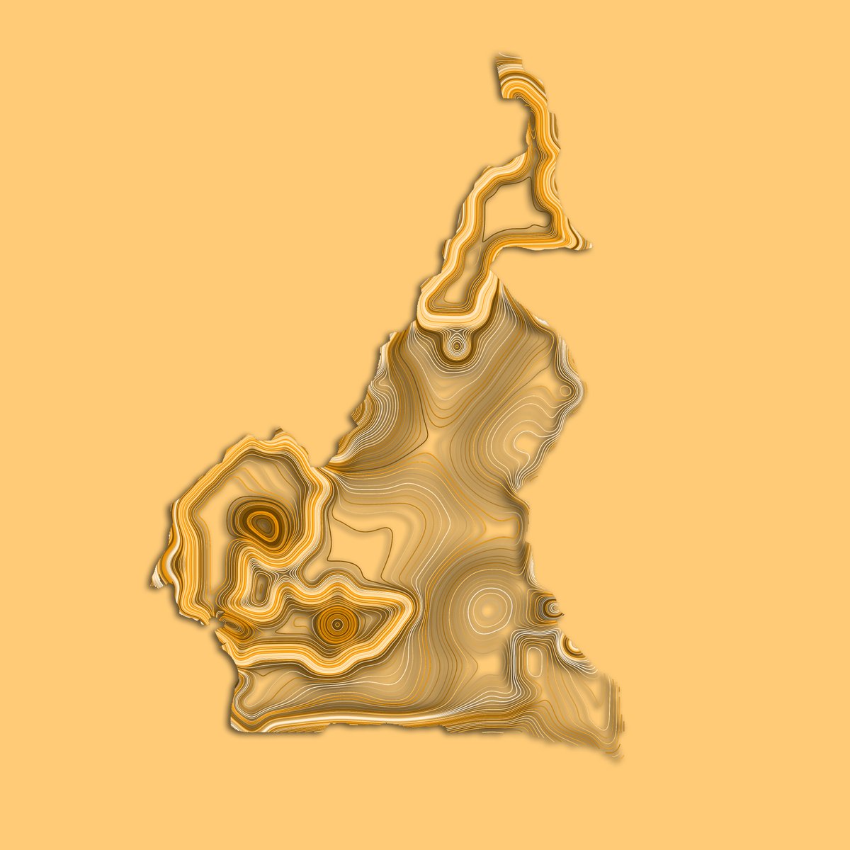 Distorted_1950's tweet photo. Our first sneak peak of 🇨🇲 Cameroon 🇨🇲 in monochrome shades of yellow, coming in our next release what do you think 😍? #NFTs  #Cameroon #NFTProject https://t.co/vhgepJD4mD