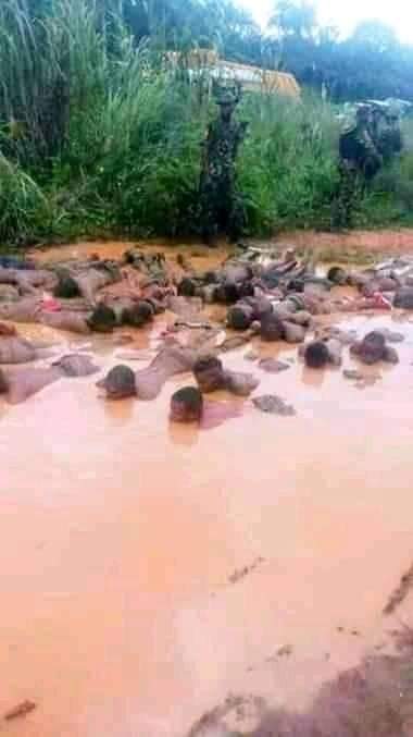 Jimsamson22's tweet photo. Does it mean that the @UN,@UNHumanRights, aren't seen all the Injustice happen in #Biafraland the people of #Biafra have been seeing killed on daily basis by Nigeria government but the #Worldleaders are quiet over the killings of innocent #Biafra.
#FreeNnamdiKanu 
#BiafraExit https://t.co/GEg5iqHM25