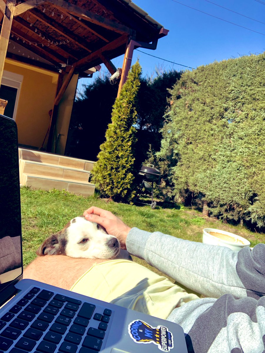 VKaratashev's tweet image. #Sunday #codeBuddy 😎