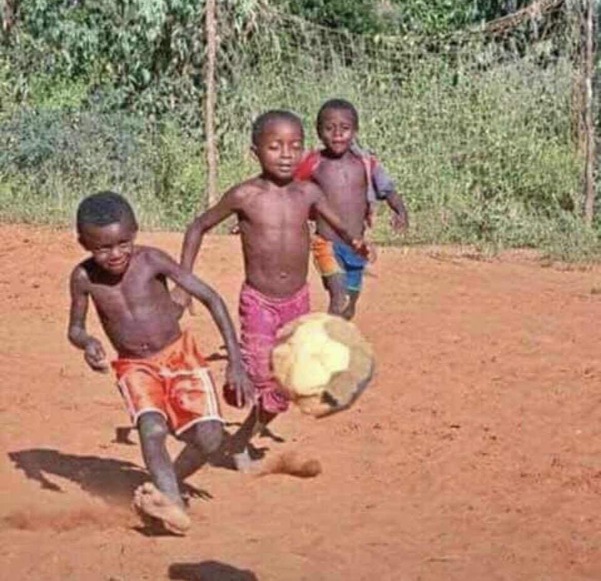 afritz77 tweet media