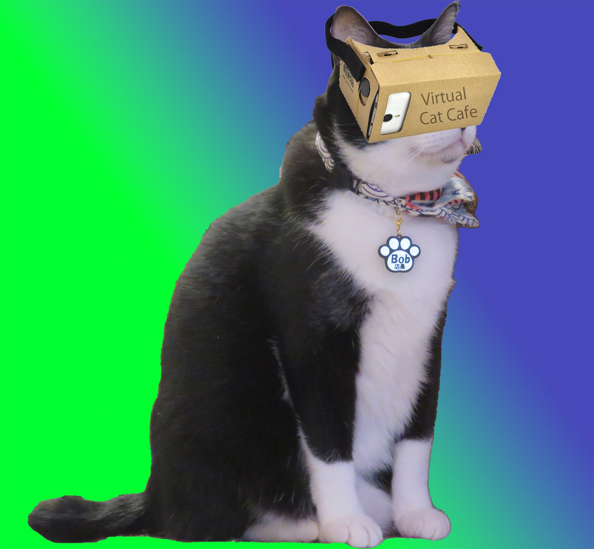 Bob S House Neko Cafe Time Nekocafe Time Twitter