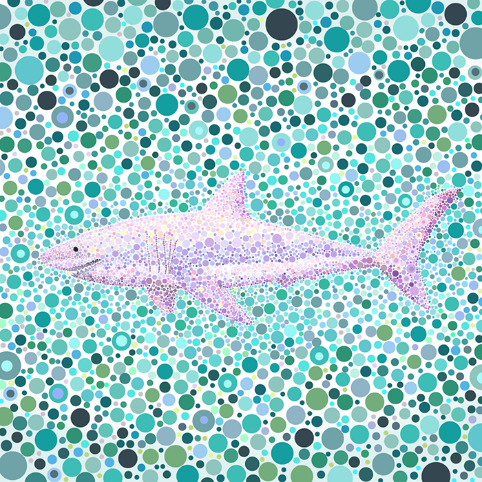 Certainly_Happy's tweet photo. 'Dot shark' is the first series of 'The Dot animals'.

#DotShark #NFT #openSeaNFT @opensea  #collectable #nftcollector #klaytn #KNFT #nftsforfreedom 

https://t.co/2t2Dq4C3R0 https://t.co/P7lScoc07g