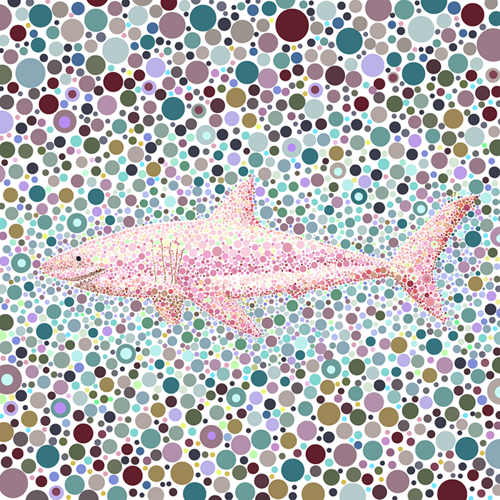 Certainly_Happy's tweet photo. 'Dot shark' is the first series of 'The Dot animals'.

#DotShark #NFT #openSeaNFT @opensea  #collectable #nftcollector #klaytn #KNFT #nftsforfreedom 

https://t.co/2t2Dq4C3R0 https://t.co/P7lScoc07g