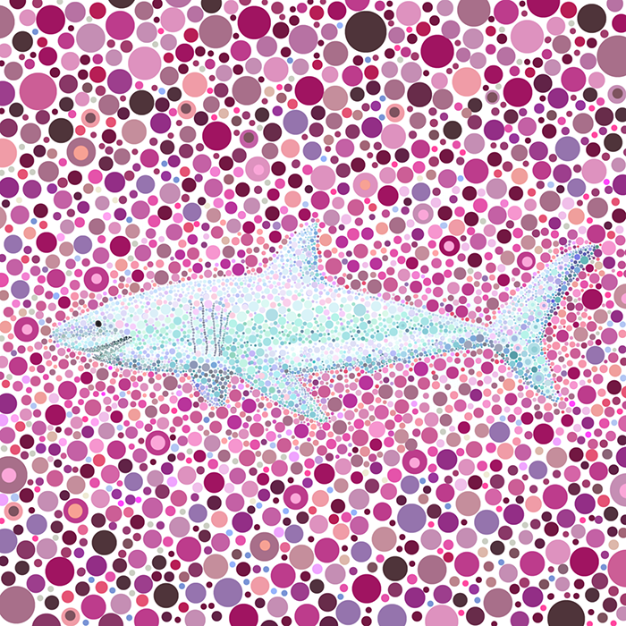 Certainly_Happy's tweet photo. 'Dot shark' is the first series of 'The Dot animals'.

#DotShark #NFT #openSeaNFT @opensea  #collectable #nftcollector #klaytn #KNFT #nftsforfreedom 

https://t.co/2t2Dq4C3R0 https://t.co/P7lScoc07g
