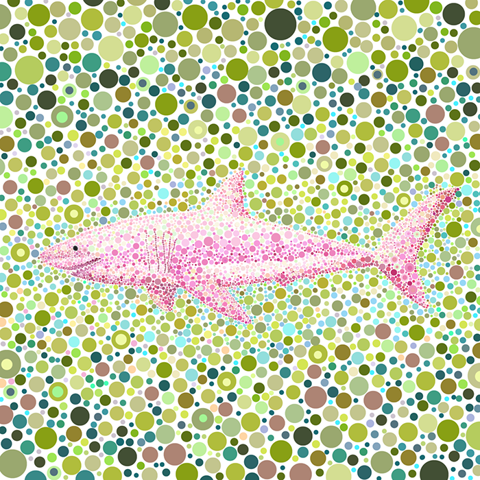 Certainly_Happy's tweet photo. 'Dot shark' is the first series of 'The Dot animals'.

#DotShark #NFT #openSeaNFT @opensea  #collectable #nftcollector #klaytn #KNFT #nftsforfreedom 

https://t.co/2t2Dq4C3R0 https://t.co/P7lScoc07g