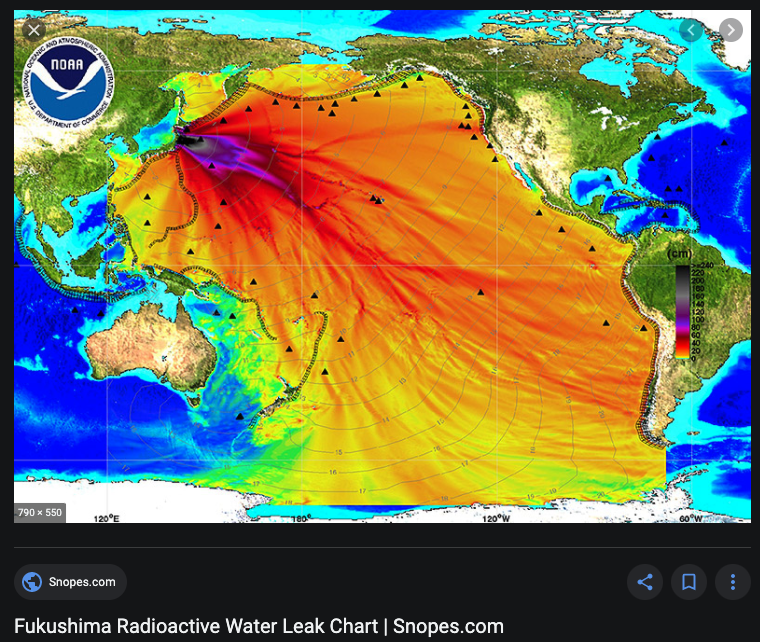 BTS_BP_SFan's tweet photo. @fuck_off_korea Japan govt is going to dump radioactive waste water to the ocean. Do you want to eat fish from Fukushima?
[Radioactive cesium of fish in Fukushima, Japan, exceeded the standard]=日本報道(Wow!Japan)
https://t.co/XNgrSgxchO https://t.co/vOcZTK5aGI