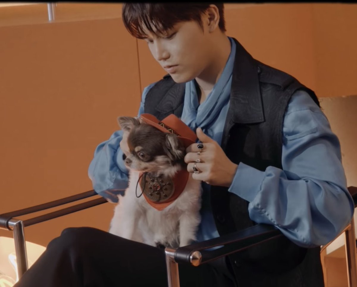쟈기야~♡ 🐱 tweet media