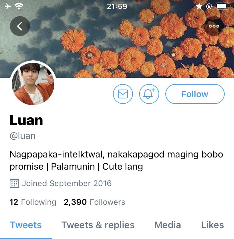 osshunbi's tweet photo. 3202. Part fifteen: Final Part — Hello po! Sana magustuhan nyo po itong update, happy reading~

This part is dedicated for you guys! Thank you so much for reaching this far ♥️

Changes lang po sa profiles of our tenants! 🤗

Luan Park-Watanabe https://t.co/btxf7mEJz6