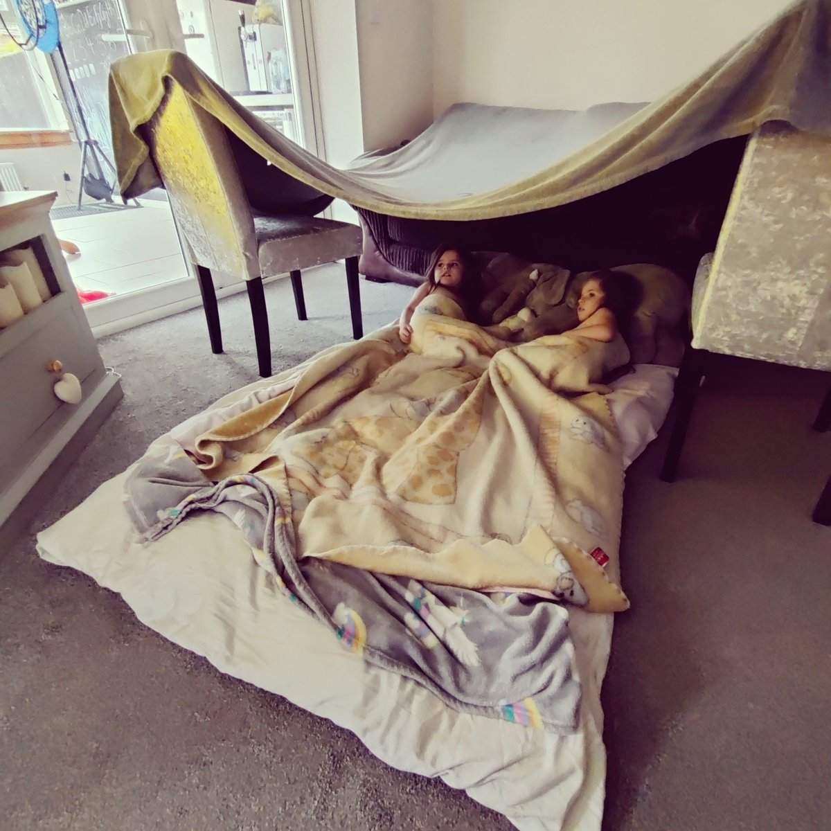 _baby_barista's tweet photo. It's Den Day! - Sundays are for snoozing 😉
#sunday #sundayvibes #sundaysnoozing #denday #letsbuildaden #fort #buildafort #identical #twins #identicaltwins #sunnyandbow #chilling https://t.co/wcutH4FEGQ