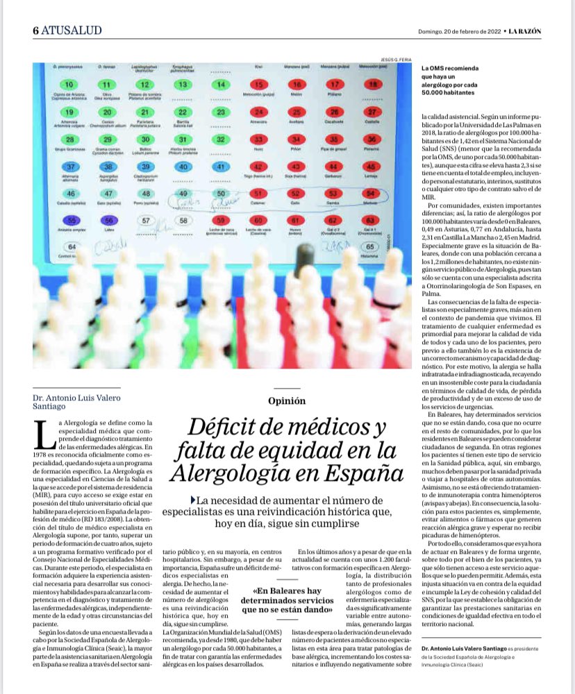 Déficit de médicos y falta de equidad en la Alergología en España
►La necesidad de aumentar el número de especialistas es una reivindicación histórica. #AlergologosEnBalearesYa <a href="/SEAIC_Alergia/">SEAIC</a> <a href="/AntonioValeroS1/">Antonio Valero Santiago</a> #alergia <a href="/CAJMIR_SEAIC/">CAJMIR</a>