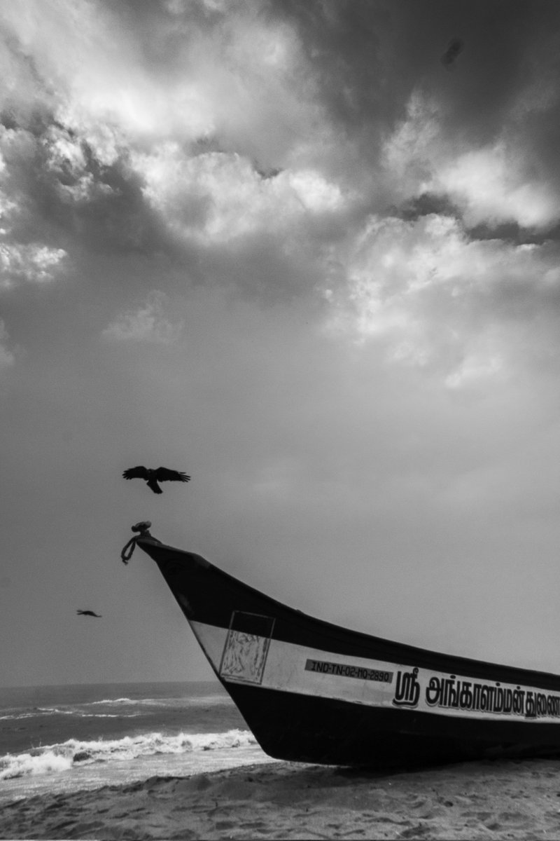 Deaf Artist NFT Collective tweet media