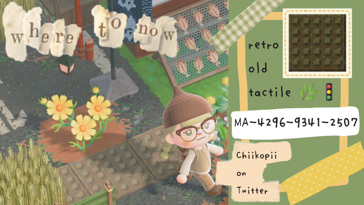 momogi 🥟 tweet media