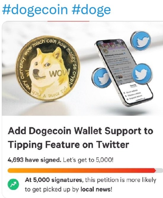 Cupidoge's tweet photo. #Dogeall https://t.co/pHfH1uuqqW