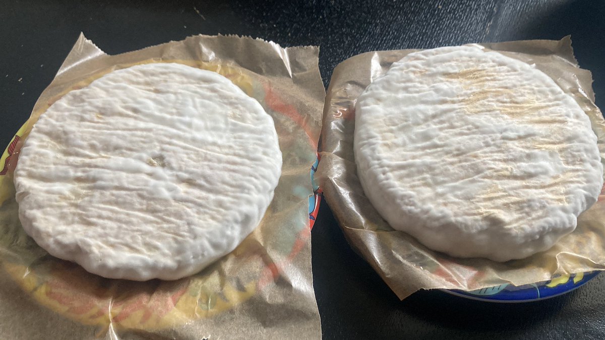 luckow's tweet photo. one week later #vegan #cashewbert #cheese https://t.co/VMXpB07Xmc