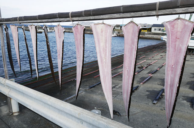 Showチャンネル千葉県館山市のうつぼ料理 相浜亭のお店情報 青い空 まいにち笑顔