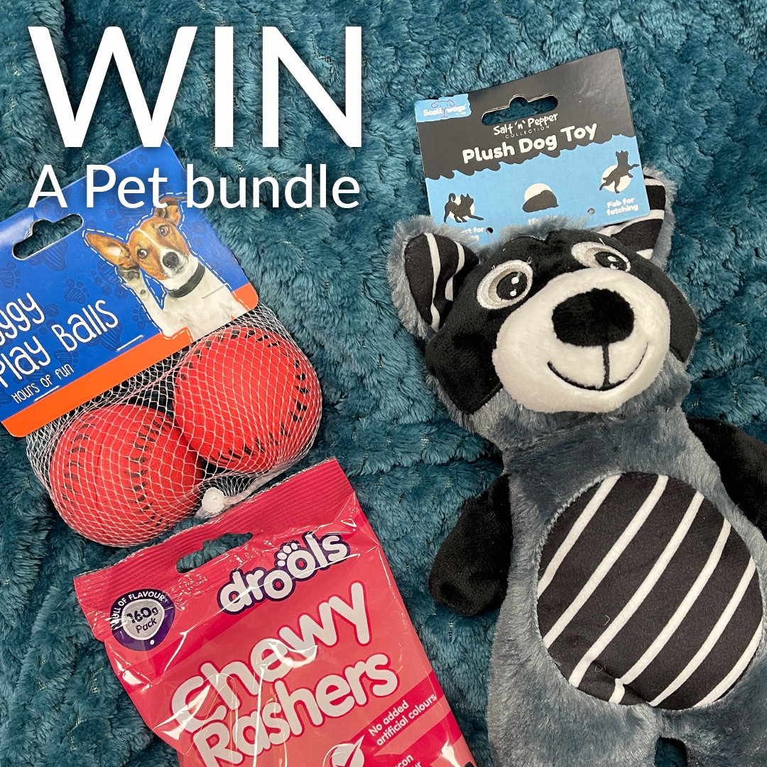 😍 GIVEAWAY! 😍

It's time to show your pet some love! You can win an amazing little bundle for your favourite four legged friend!

RT this tweet and follow us on Twitter!

UK and Republic of Ireland only.

The winner will be chosen 31/08/21.

#giveaway #competition #contest #win