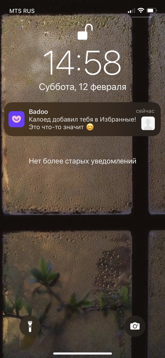 лизавета (@gonoreya) on Twitter photo 