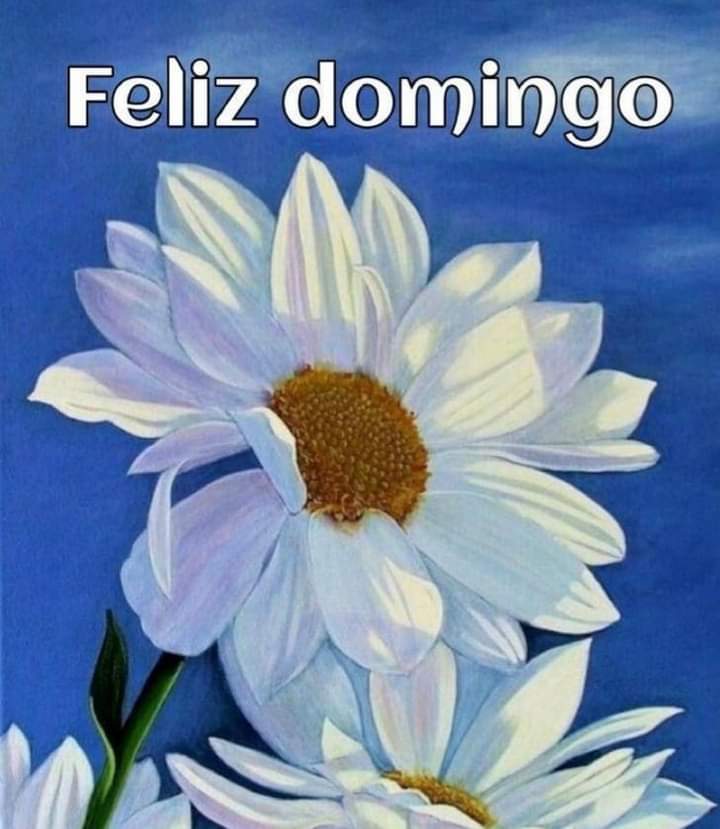 LssLDah's tweet photo. #Felicidade é uma escolha, 
não um resultado. 
Nada o fará feliz...
Nenhuma pessoa o fará feliz ...
Até que você decida ser Feliz!
Sua Felicidade não virá para você,
ela virá de dentro de você!

🌼🍂 #DomingoMafiaSDV https://t.co/6j0sX5VJnr