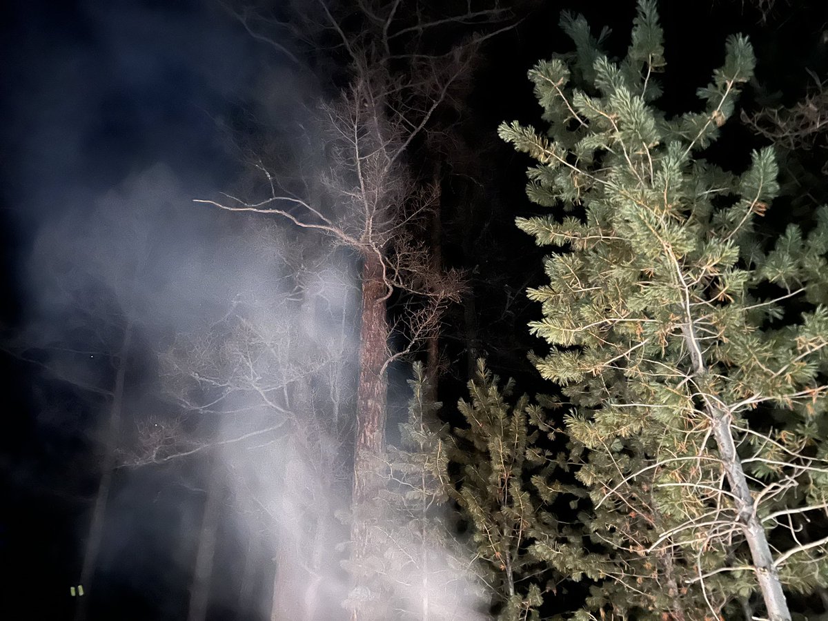 batzolboo (@batuet) on Twitter photo 