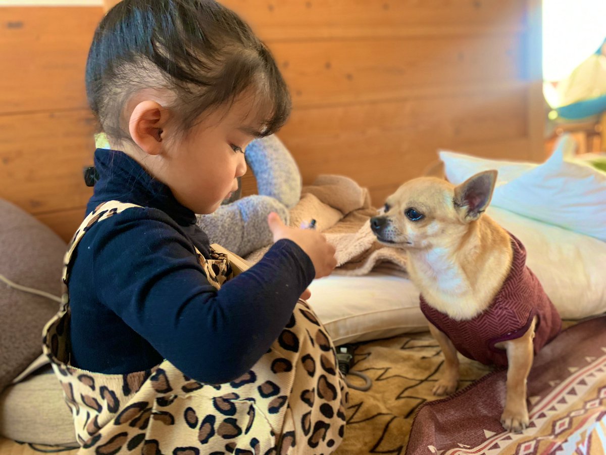 ry0ry06's tweet photo. 今日のお気に入りの写真👦🏻👧🏻💗

実家が引越しして広くなって
チビ達も大喜び🥰

娘は一生懸命わんちゃんに向かって
読み聞かせしてた🤣笑
そしてまたそれをちゃんと見てる
🐶の姿にも笑った🤣 https://t.co/Q2VTY903EL