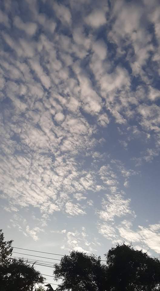 Timettm's tweet image. 