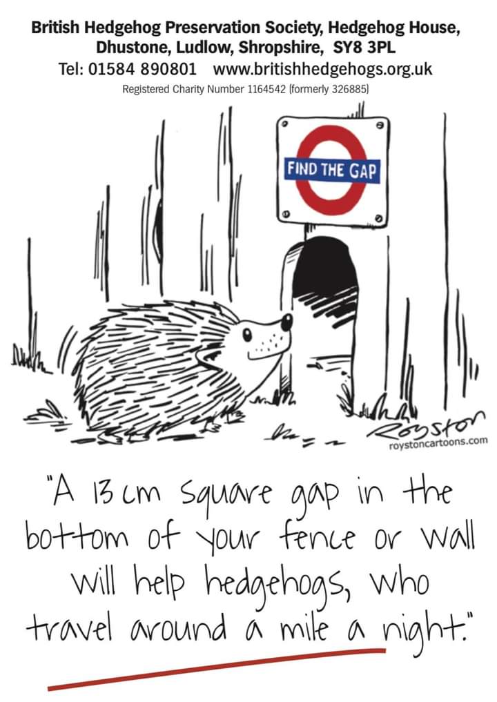 #WeDoGrass Ian (@lawnmasternotts) on Twitter photo This should be a mandatory thing when putting up any new fence
Please help your local π¦π¦π¦ and <a href="/hedgehogsociety/">Hedgehog Society</a> <a href="/TiggywinklesUK/">Tiggywinkles</a>
<a href="/HogFriendly/">Hedgehog Friendly Campus</a> <a href="/CamHedgehogs/">Cambridge Hedgehogs</a> <a href="/Nottswildlife/">Nottinghamshire Wildlife Trust</a> <a href="/Natures_Voice/">RSPB</a> <a href="/WildlifeTrusts/">The Wildlife Trusts</a> <a href="/365DaysWild/">#365DaysWild - a little bit wild, every day</a>
bit.ly/3h028pC This should be a mandatory thing when putting up any new fence
Please help your local π¦π¦π¦ and <a href="/hedgehogsociety/">Hedgehog Society</a> <a href="/TiggywinklesUK/">Tiggywinkles</a>
<a href="/HogFriendly/">Hedgehog Friendly Campus</a> <a href="/CamHedgehogs/">Cambridge Hedgehogs</a> <a href="/Nottswildlife/">Nottinghamshire Wildlife Trust</a> <a href="/Natures_Voice/">RSPB</a> <a href="/WildlifeTrusts/">The Wildlife Trusts</a> <a href="/365DaysWild/">#365DaysWild - a little bit wild, every day</a>
bit.ly/3h028pC