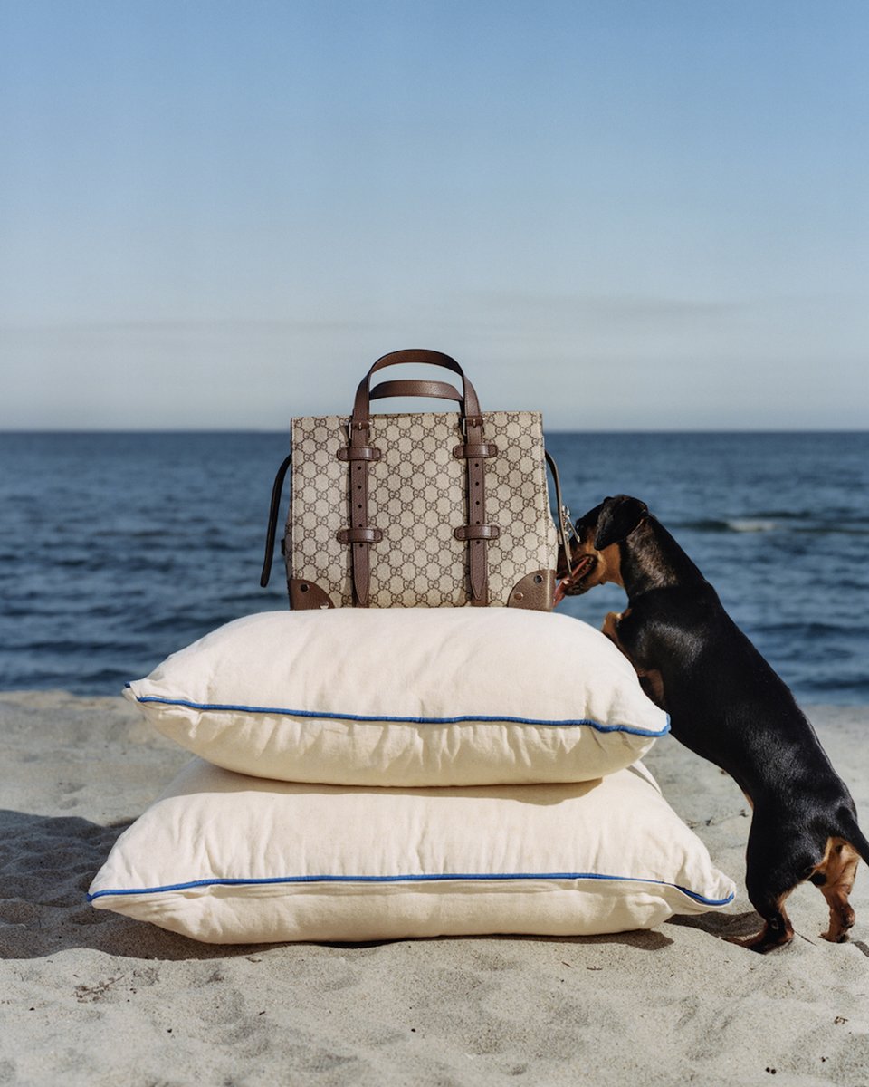 Ensuring a bright start to spring, <a href="/gucci/">gucci</a> unveil their pineapple collection 🍍

MORE: ow.ly/RMRV50HZjRl