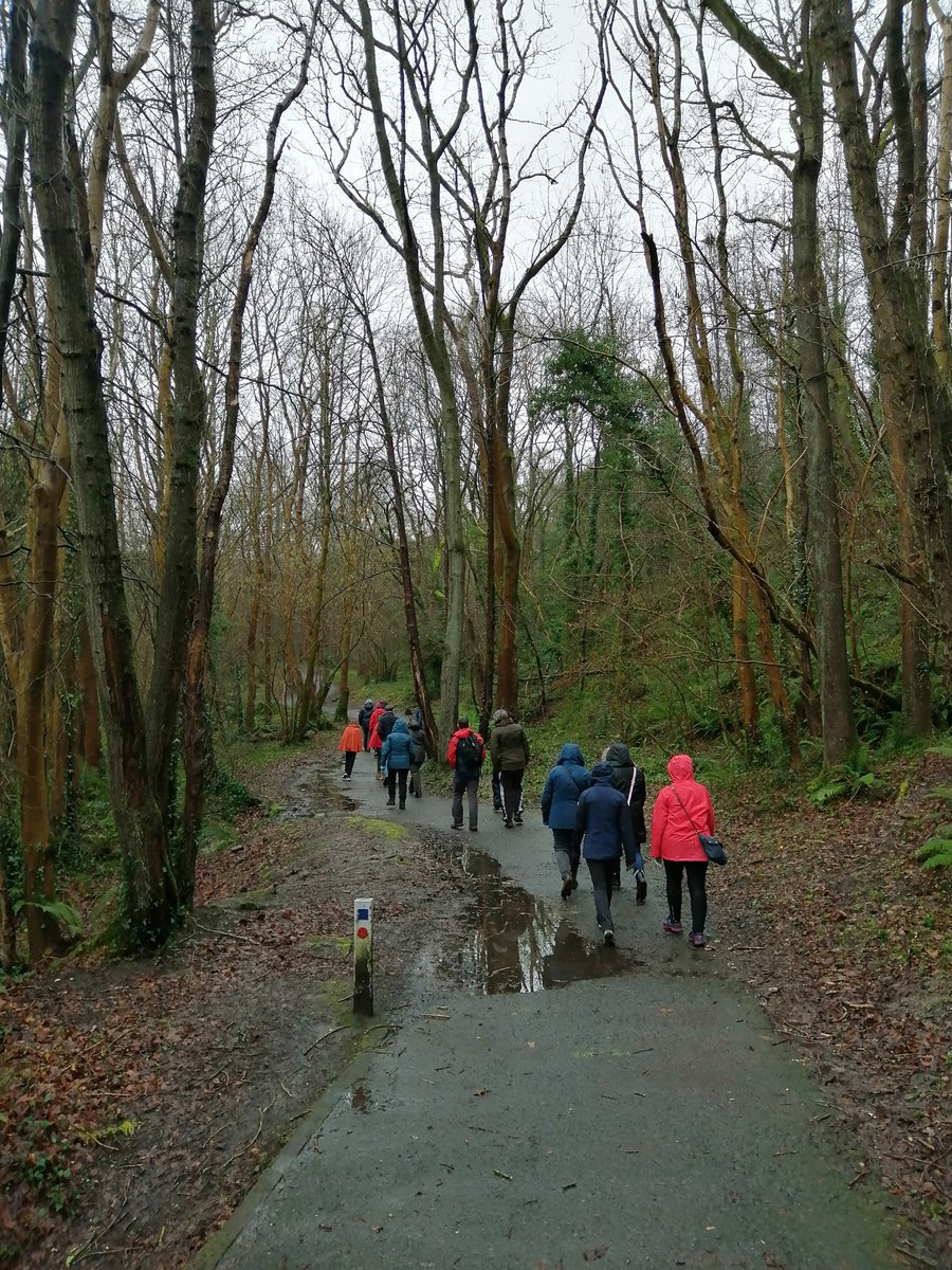 sjpryde's tweet photo. Engaging and enchanting walk at @ColinGlenTrust learning the magic of the forest with Aoife at @niscifest Dúchas agus Dúlra - The Folklore of our Forests. Thoroughly enjoyed by everyone who braved the weather #nisf #nisf22 https://t.co/P5BskHu6qS
